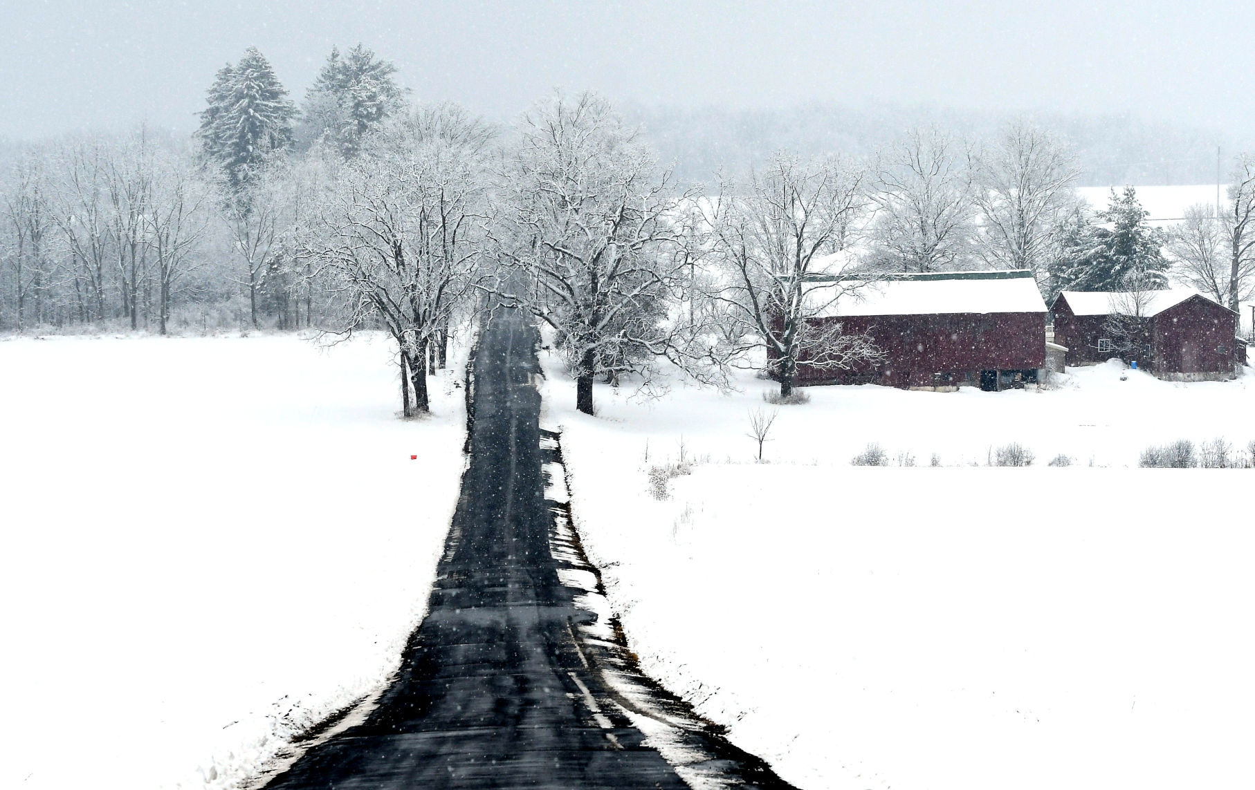 Frosted countryside 7